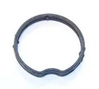 Guarnizione termostato Testa a cilindro EPDM (Etilene-Propilene-Diene-Caucciù)
