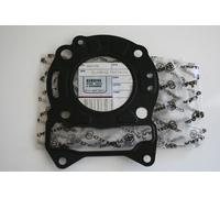 Guarnizione testa cilindro Cylinder head gasket Piaggio MP3 125 06-08