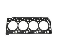 PAYEN AH6500 Guarnizione testata