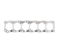 REINZ 61-34060-00 Guarnizione testata