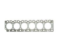Reinz Guarnizione testata 61-36840-00 metallo-elastomero per Volvo B6 7.146 1991-2006