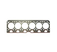 REINZ 61-41495-00 Guarnizione testata