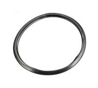 Guarnizione Testa Filtro Hayward CX250F Per Filtro A Cartuccia Star-Clear