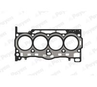 Payen Guarnizione testata AH8260 multistrato per VW, SEAT, AUDI, SKODA