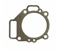 Guarnizione testa Vanguard 14 HP 261000 - 320069