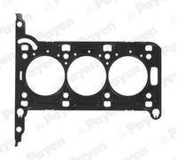 PAYEN AE5950 Guarnizione testata