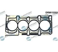 DR.MOTOR AUTOMOTIVE DRM15202 Guarnizione testata