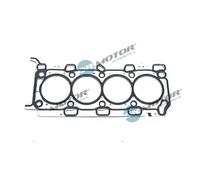 Guarnizione testata DRM18210 Dr.Motor Automotive per RENAULT NISSAN