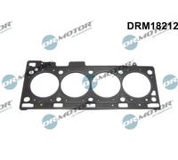 DR.MOTOR AUTOMOTIVE Guarnizione testata