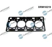 DR.MOTOR AUTOMOTIVE Guarnizione testata