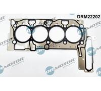 DR.MOTOR AUTOMOTIVE Guarnizione testata