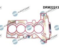 Guarnizione testata DRM22213 Dr.Motor Automotive per BMW 5 5 Touring X1 X3 1 X4