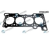 Guarnizione testata DRM61202 Dr.Motor Automotive per IVECO FIAT UAZ