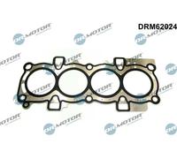 DR.MOTOR AUTOMOTIVE Guarnizione testata