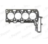 PAYEN AH8190 Guarnizione testata
