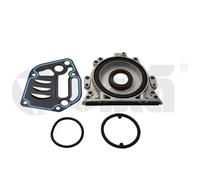 vika K10979101 Guarnizione, Testata