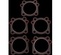 Guarnizione testata James Gasket Harley-Davidson Dyna Softail Touring 16775-99