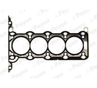 PAYEN AH5030 Guarnizione testata