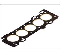 PAYEN AB5441 Guarnizione testata