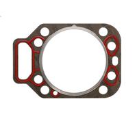Guarnizione testata REINZ 61-24305-40