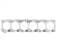 Guarnizione testata REINZ 61-34060-00 per IVECO EUROSTAR 10.308 1993-2002
