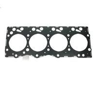 Guarnizione, Testata REINZ 61-36410-10 per DAF LF 45 3.92 2001-2006