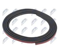 NTY Guarnizione, Tettuccio scorrevole compatibile con BMW EZC-BM-258