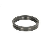 Guarnizione, trasmettitore carburante HANS PRIES 116 127 per A2 (8Z0) 1.4 2000-