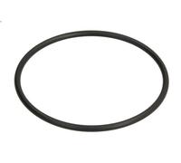 Guarnizione, tubo del liquido di raffreddamento VOLVO PENTA 3580380