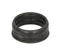 Guarnizione, tubo del refrigerante ELRING 685.350