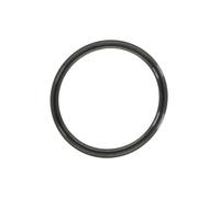 Guarnizione, tubo del refrigerante ELRING 703.570