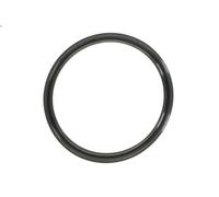 Elring Guarnizione tubo del refrigerante 703.570