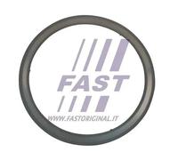 Guarnizione tubo di scarico Acciaio FT84595 FAST per PEUGEOT CITROËN OPEL IVECO