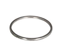 Guarnizione, tubo di scarico ELRING 509.890