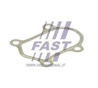 Guarnizione tubo di scarico Testa a cilindro Acciaio inossidabile FT84803 FAST
