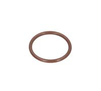 Guarnizione, tubo flessibile del riscaldatore LEMA LE121090