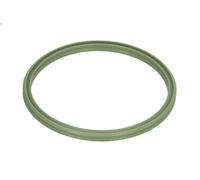 Guarnizione tubo flessibile sistema di raffreddamento ELRING per A3 2 2004-2012