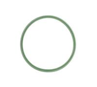 Anello di tenuta, tubo dell'aria di sovralimentazione THERMOTEC DCB105TT