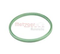 Piastra valvole compressore + Guarnizione tubo radiatore aria METZGER