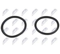 NTY GPP-PL-084 Anello tenuta, Flessibile aria alimentazione