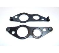 ELRING Guarnizione, Condotto valvola-AGR 891.880
