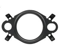 Guarnizione, tubo valvola EGR ELRING B29.550 per VEL SATIS (BJ0_) 2 2006-2009