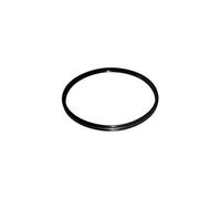 GUARNIZIONE UNITA' FILTRO COMPATIBILE PER VORWERK FOLLETTO CODICE VF31039 - Ricambio Figevida