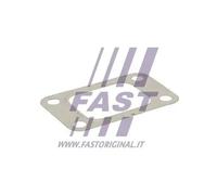 Guarnizione uscita turbina Entrata turbina Acciaio inossidabile FT49519 FAST