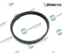 Guarnizione valvola a farfalla DRM0134 Dr.Motor Automotive per RENAULT MEGANE II