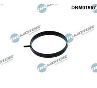 Guarnizione valvola a farfalla DRM01957 Dr.Motor Automotive per NISSAN NOTE JUKE