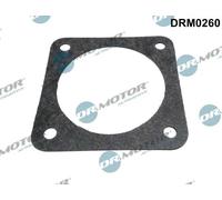 Guarnizione valvola a farfalla DRM0260 Dr.Motor Automotive per VW SEAT AUDI