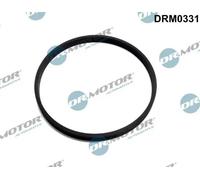 Guarnizione valvola a farfalla DRM0331 Dr.Motor Automotive per FORD