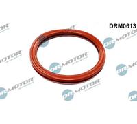 Guarnizione valvola a farfalla DRM0613 Dr.Motor Automotive per RENAULT DACIA
