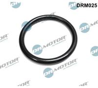 Guarnizione valvola a farfalla Lato aspirazione DRM025 Dr.Motor Automotive